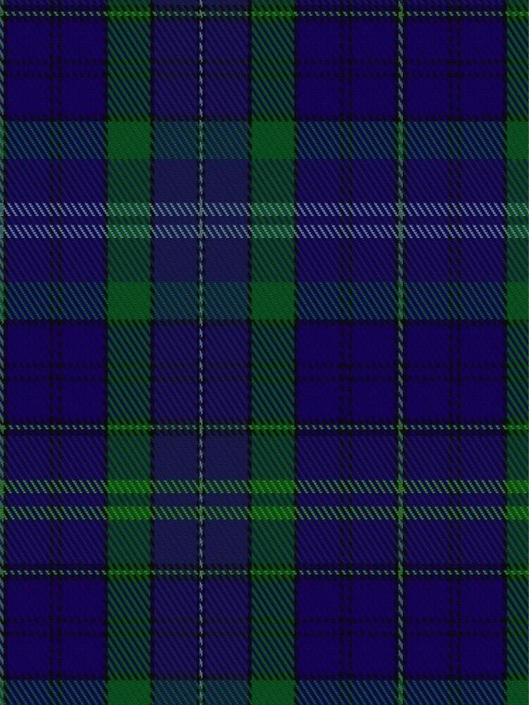02362 Davies of Wales Tartan by Detnecs2013