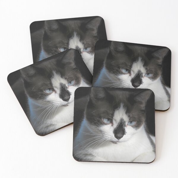 Item preview, Snowshoe Cat Portrait designed and sold by Elisabeth Lucas.