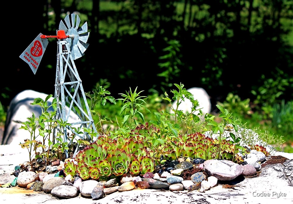 "Hart Well Drilling Anniversary Windmill in Rock Garden" by Codee Pyke