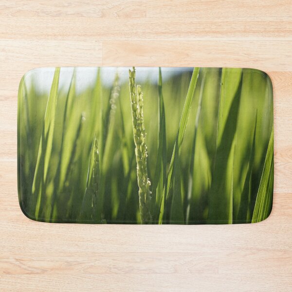 Item preview, Green ear of rice designed and sold by sjkimphoto.