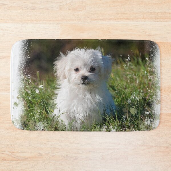 Item preview, Maltese White Fluffy Dog designed and sold by OByD.