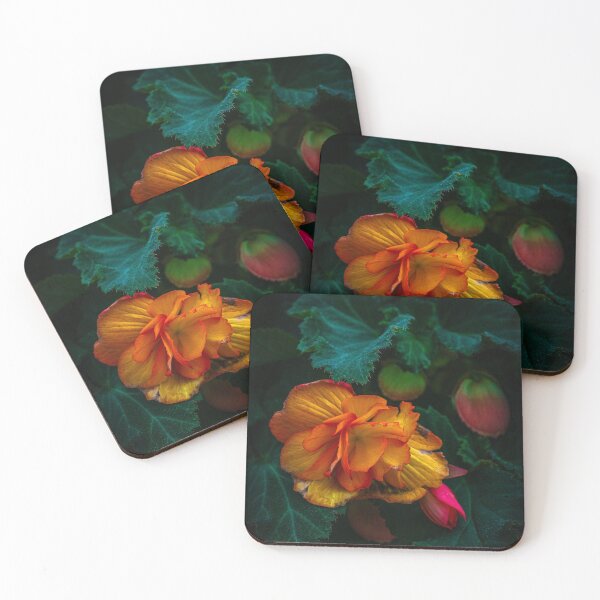 Item preview, Begonia designed and sold by alan shapiro.