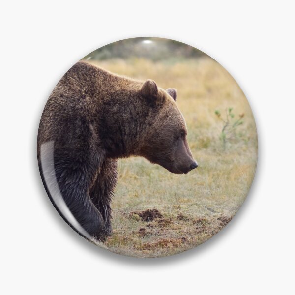 Item preview, Brown bear panoramic designed and sold by Jouko Lehto Photography.