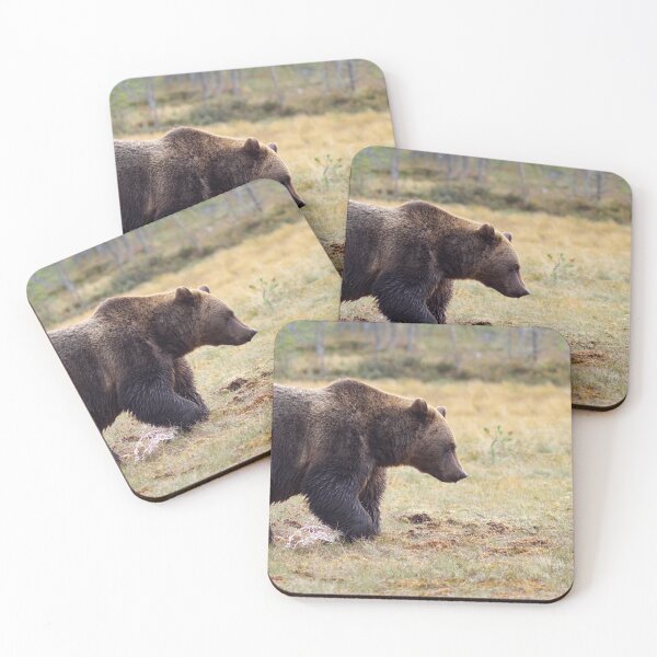 Item preview, Brown bear panoramic designed and sold by Jouko Lehto Photography.