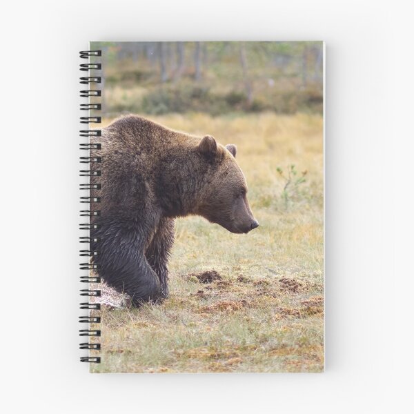 Item preview, Brown bear panoramic designed and sold by Jouko Lehto Photography.