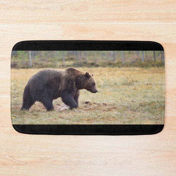 Item preview, Brown bear panoramic designed and sold by Jouko Lehto Photography.