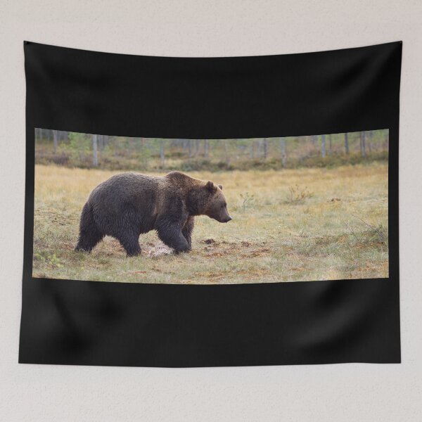 Item preview, Brown bear panoramic designed and sold by Jouko Lehto Photography.