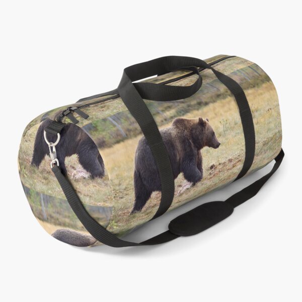 Item preview, Brown bear panoramic designed and sold by Jouko Lehto Photography.