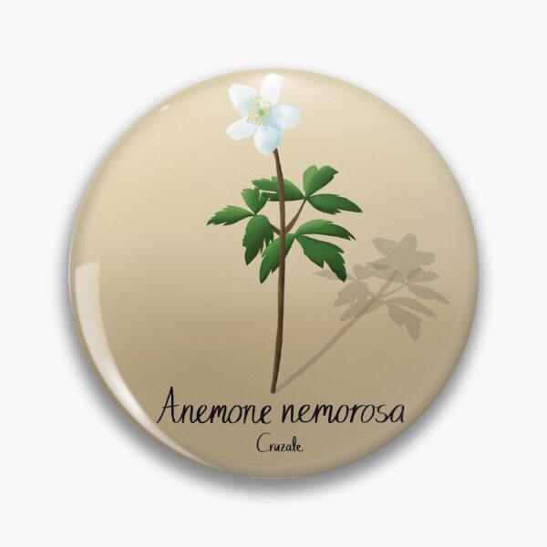 Artikelvorschau, Anemone nemorosa, Holzanemone entworfen und verkauft von Andrea Cruz.