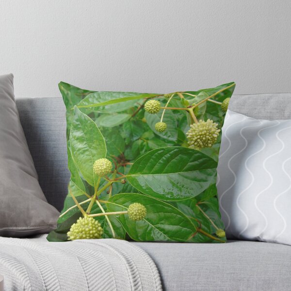 Item preview, Planta Misterio designed and sold by MAMMAJAMMA.