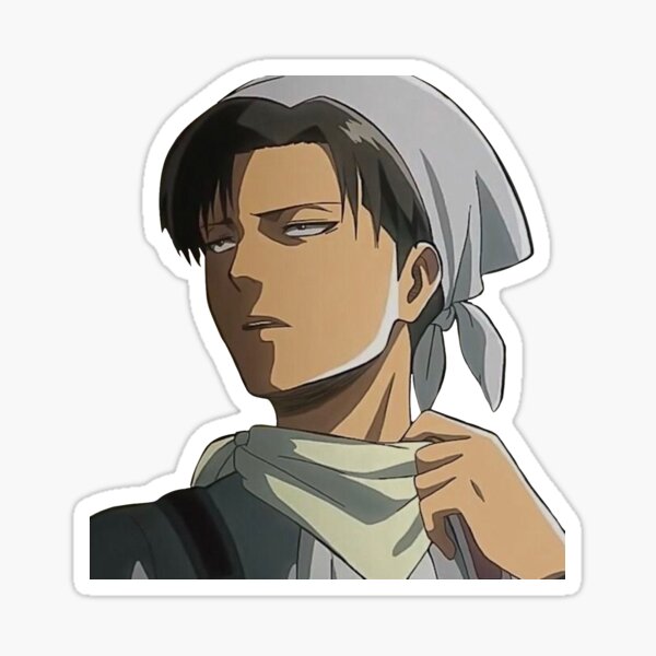 Levi Cleaning Gifts & Merchandise for Sale | Redbubble