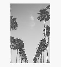Boulevard Photographic Print