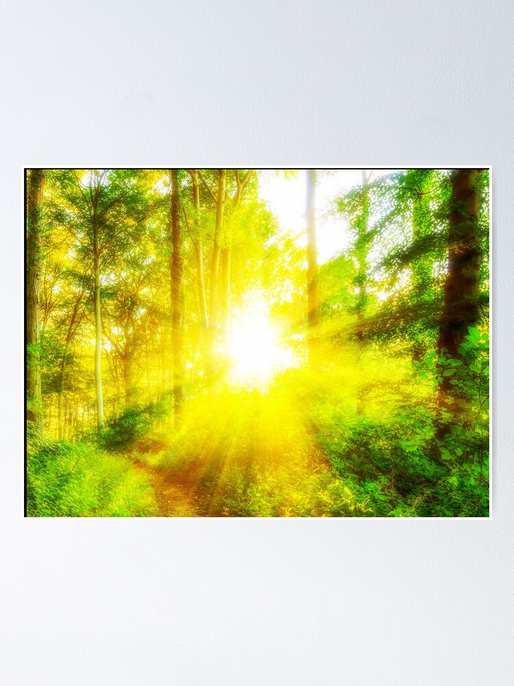 " Forest art,Tree art,forests, wall art,Nature scene,Forest posters