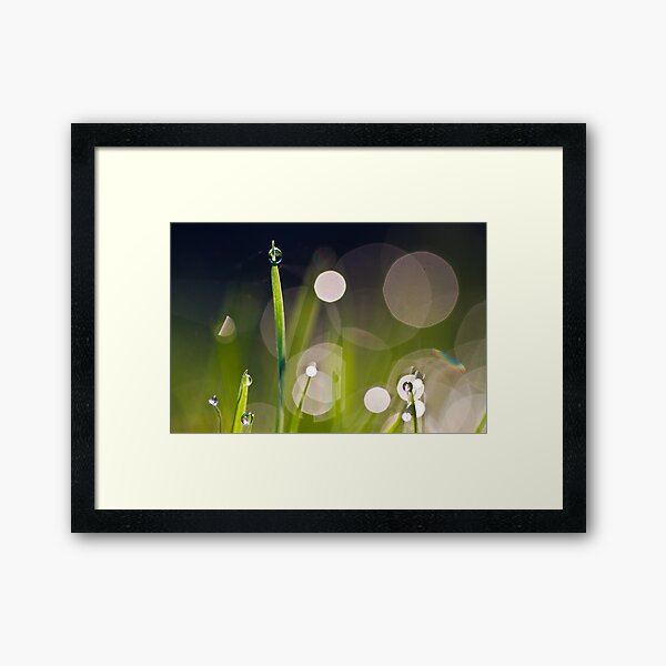 Lime Juice Framed Art Print