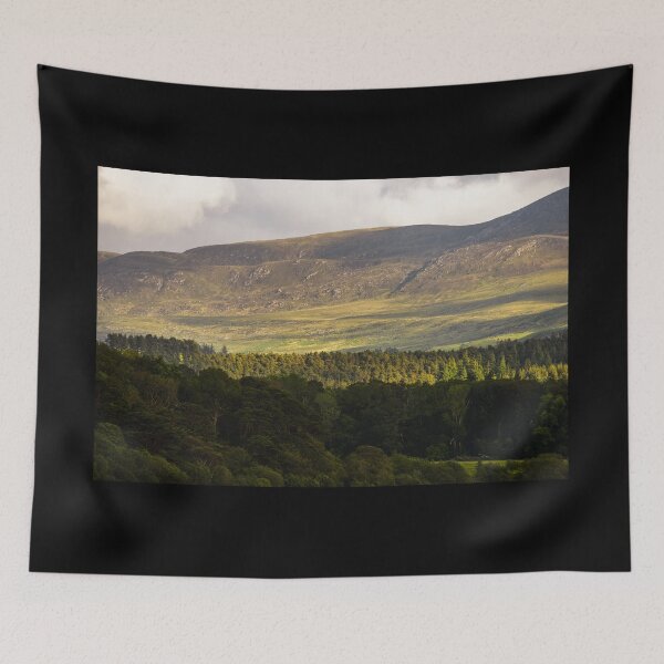 Item preview, Forest with mountains in the sunshine in Killarney National Park, near the town of Killarney, County Kerry  designed and sold by AlbertMi.