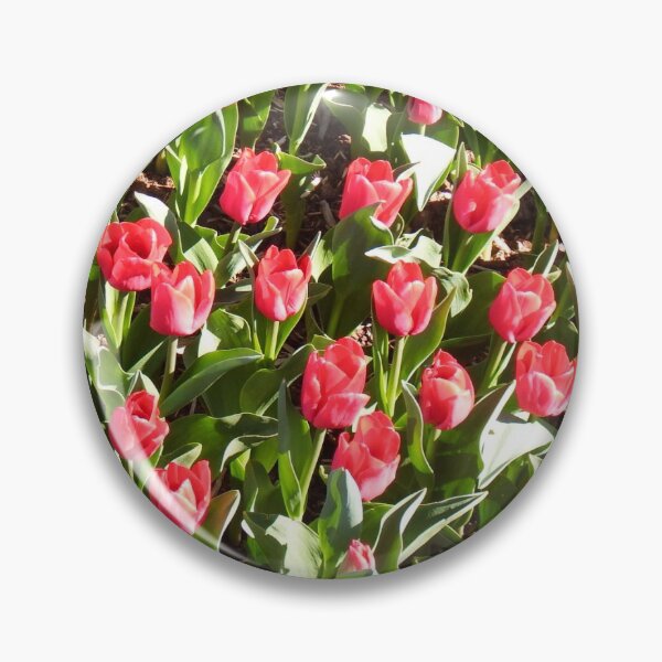 Artikelvorschau, Tulpen vom Festival entworfen und verkauft von PrintslyThings.