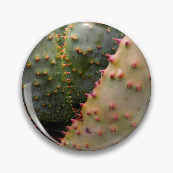 Item preview, Succulent designed and sold by Weather gifts .