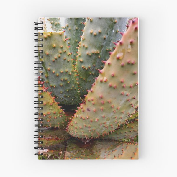 Item preview, Succulent designed and sold by Weather gifts .