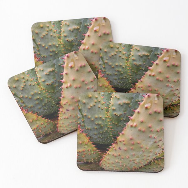 Item preview, Succulent  designed and sold by Weather gifts .