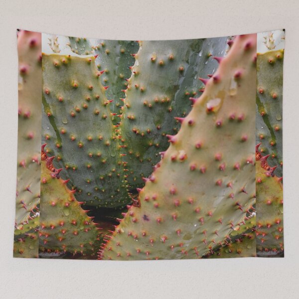 Item preview, Succulent  designed and sold by Weather gifts .