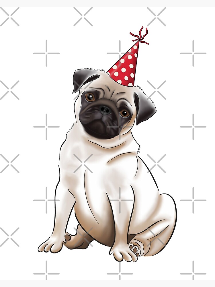 Pug with 2025 birthday hat