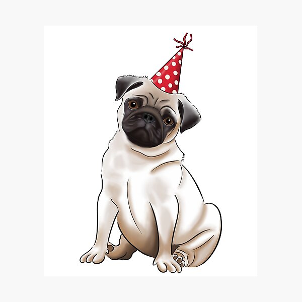 Impression Photo Anniversaire Carlin Orange Par Dreamingdogs Redbubble