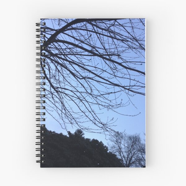 Artikelvorschau, Blauer Himmel Baum Zweige entworfen und verkauft von SenecaGrace.