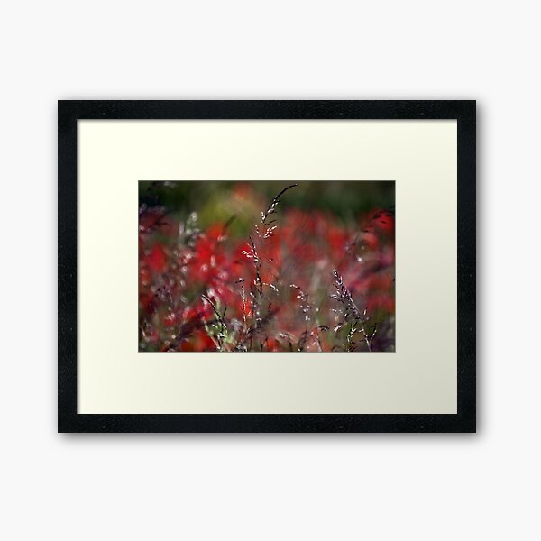 Grass & poppies Framed Art Print