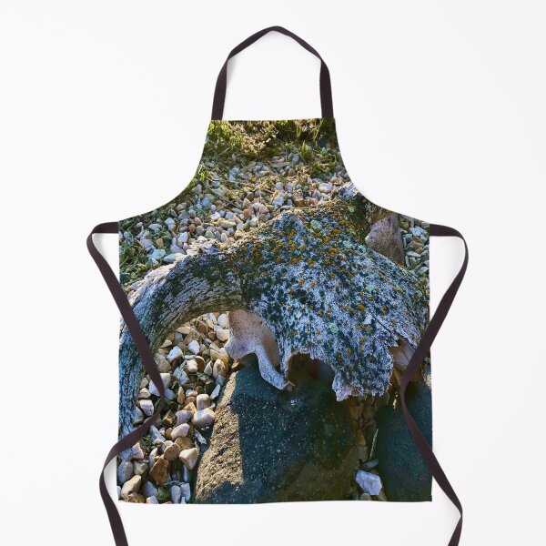 Item preview, old bull skull designed and sold by countrypines.