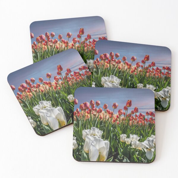 Item preview, Tulips 2 designed and sold by barkeypf.