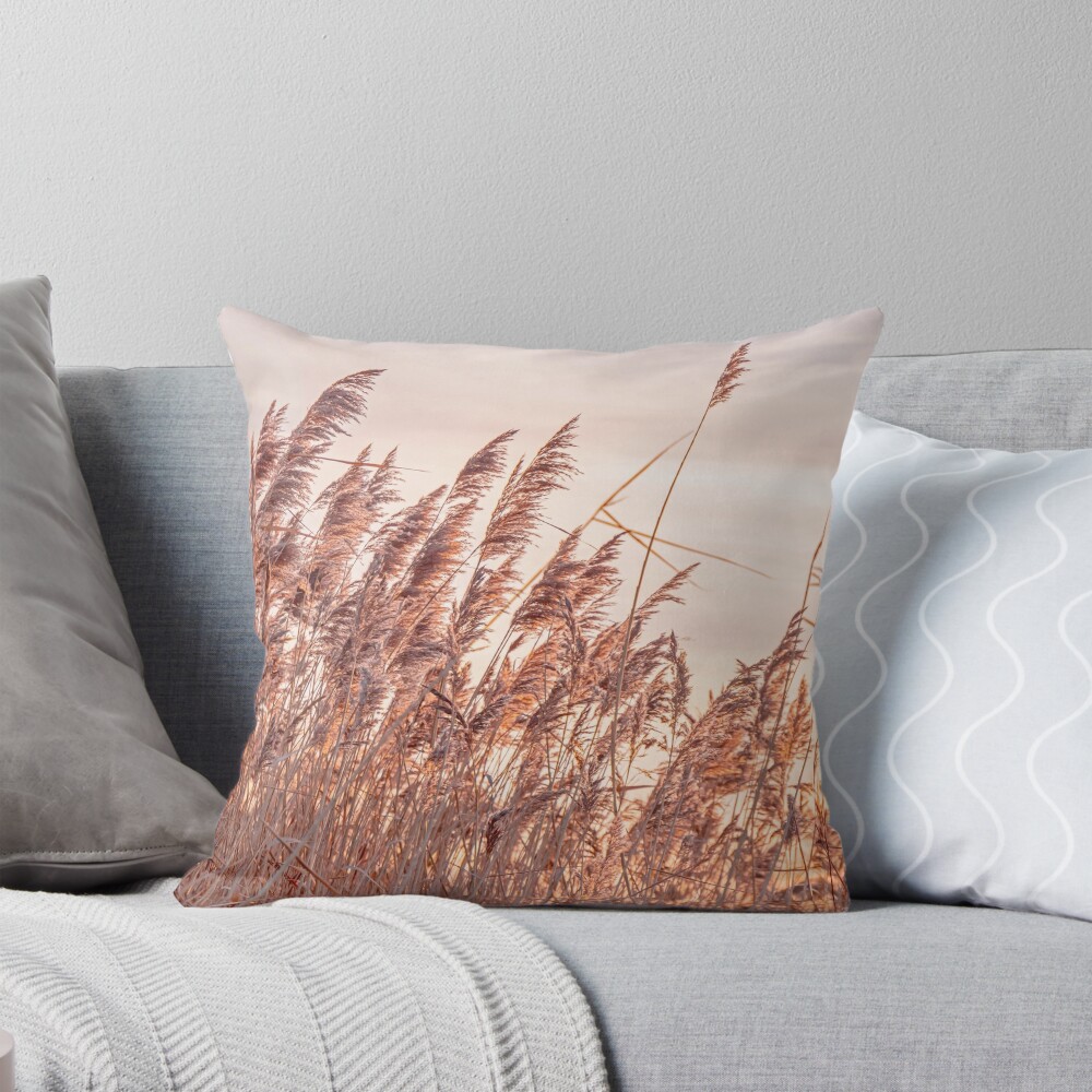 Item preview, Throw Pillow designed and sold by Tim Paulawitz.