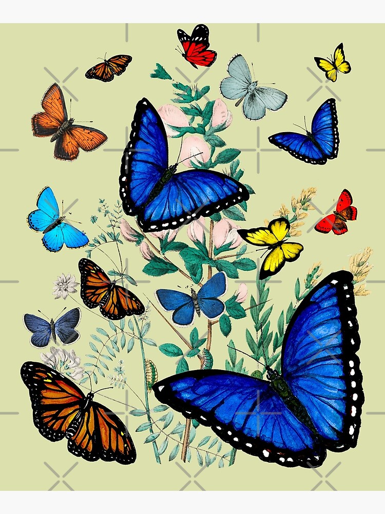 Disover The butterfly effect Premium Matte Vertical Poster