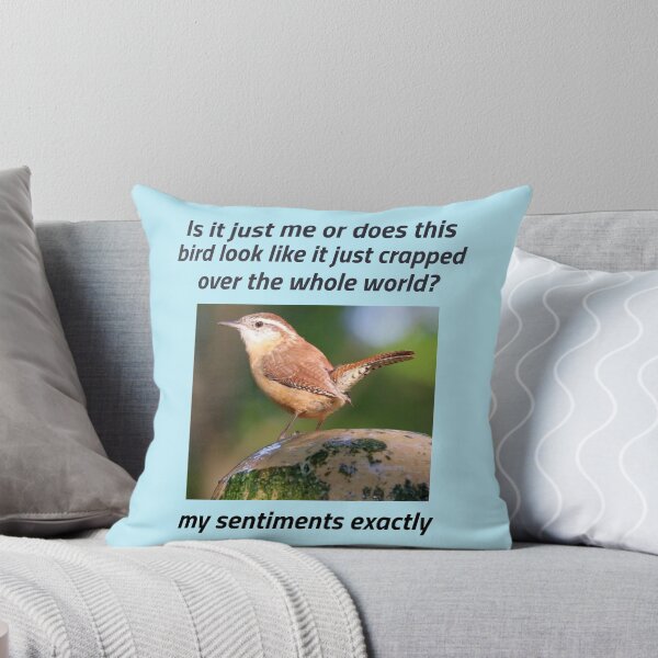Item preview, “My Sentiments exactly”  (black text)  designed and sold by skoumpourdides.