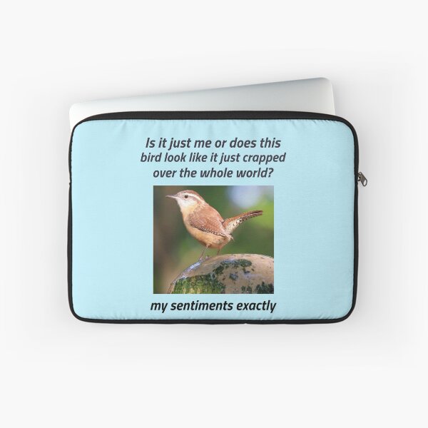 Item preview, “My Sentiments exactly” (black text) designed and sold by skoumpourdides.