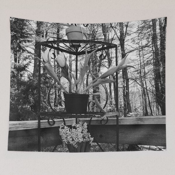 Item preview, One Day, We Will Wilt designed and sold by Shawn Mitchell.