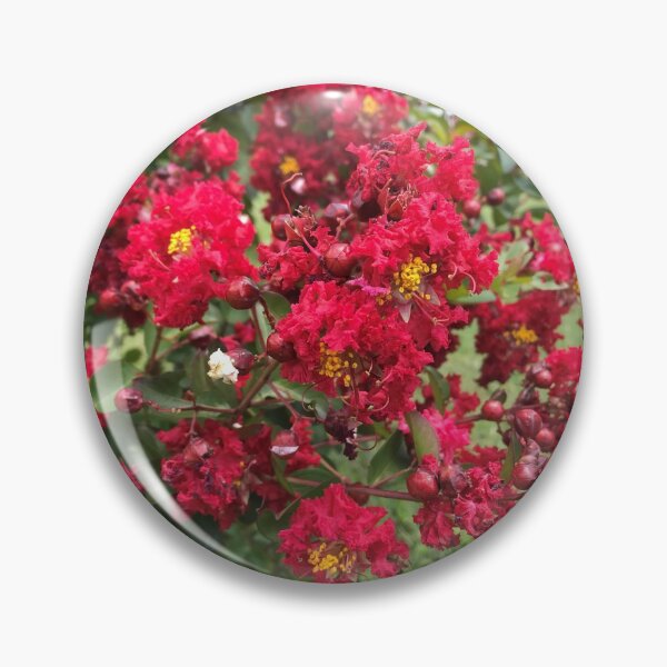 Item preview, Red Crepe Myrtle designed and sold by Michael McClure.