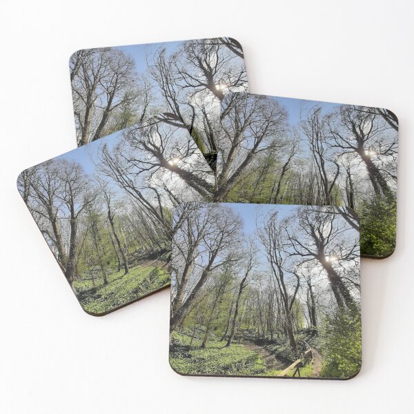 Item preview, Nature photography forest designed and sold by Aline22.
