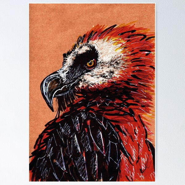 Item preview, Bearded Vulture designed and sold by Garuda Sagral.