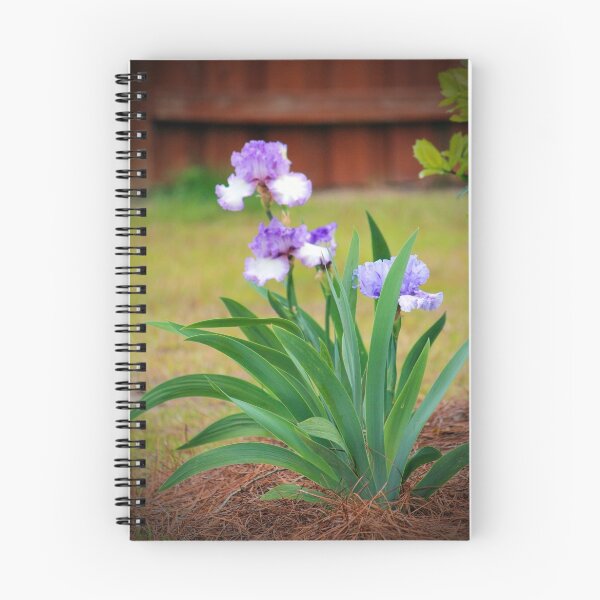 Item preview, Blue Violet Irises  designed and sold by Cynthia48.