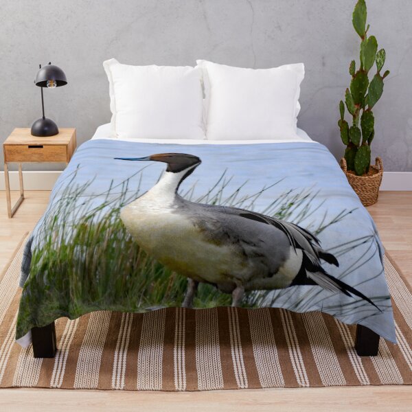 Item preview, A Wonderful Pintail Drake Duck designed and sold by Karen Thomson.