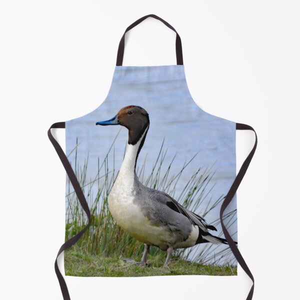 Item preview, A Wonderful Pintail Drake Duck designed and sold by Karen Thomson.