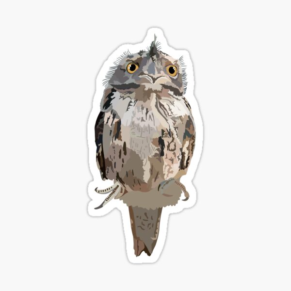 T is for Tawny Frogmouth Sticker