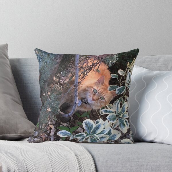 Item preview, Max - 07-14-15 designed and sold by alphaproduction.