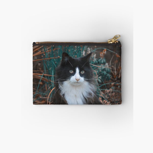 Item preview, Enchanting Cosmo Cat Photography designed and sold by solarflared.