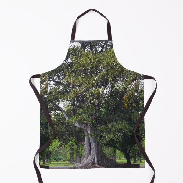 Item preview, Ficus macrophylla - Moreton Bay Fig Tree designed and sold by lezvee.