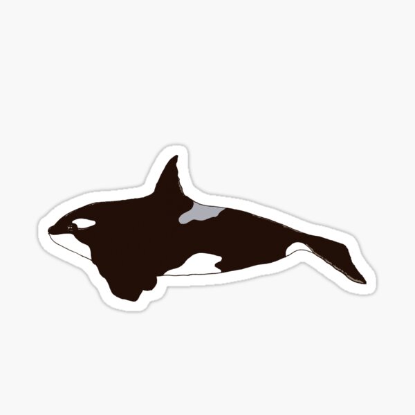Orca Whale Sticker