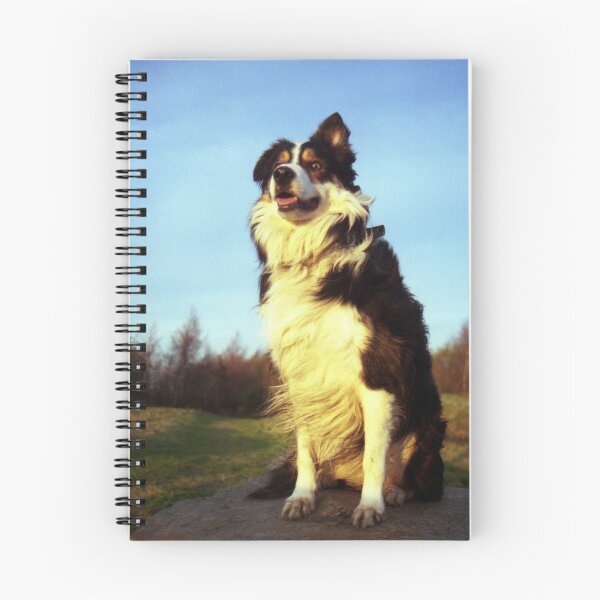 Item preview, Laddie's stand. designed and sold by Michael Haslam.