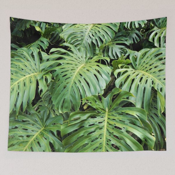 Item preview, Philodendron  designed and sold by Erika Bartha.