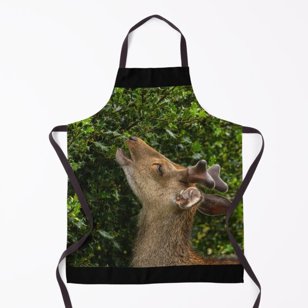 Item preview, The young wild deer in Killarney National Park, near the town of Killarney, County Kerry, Ireland designed and sold by AlbertMi.
