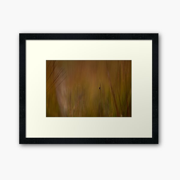 Lost in the grass Framed Art Print